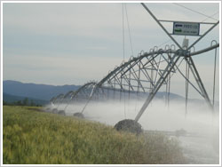 Center Pivot Irrigation System