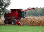 Corn combine