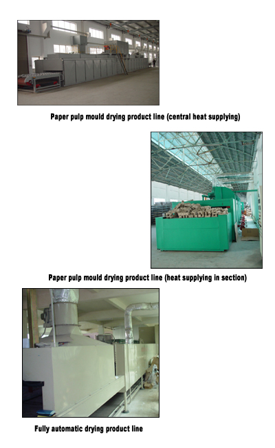 Pulp molding machine