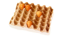 CLIMA egg tray machine