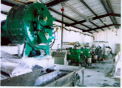 cassava starch processing machine