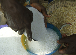 Cassava starch processing machinery
