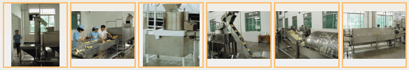 potato chip processing machine