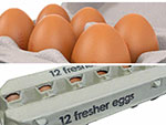 Egg Tray Machine