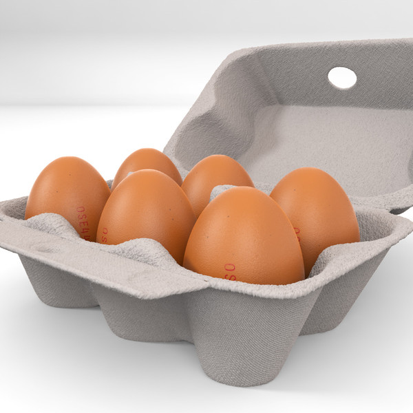 CLIMA Egg tray machine